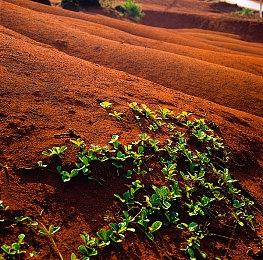 干预人生ADV《窥视你的未来》Steam版 将于7月15日发售